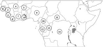 Image result for Manniophyton