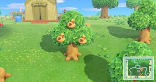 But overall thank you for the info! Acnh Money Tree Guide How To Grow Limit Animal Crossing Gamewith