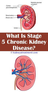 Diabetic Kidney Disease Polycystic Kidney Disease Kidney Disease Recipes Chronic Kidney Disease