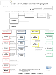 70 Abundant Hics Org Chart