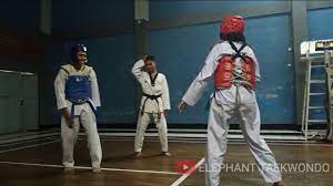 They are competing in liga 2. Sparring Susulan Elephant Taekwondo Taekwondo Smkn 1 Cimahi Tnts Youtube