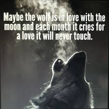 Wolf Quotes on Pinterest | Lone Wolf Quotes, Wolf Pack Quotes and ... via Relatably.com