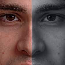 Travis Camden's Instagram, Twitter & Facebook