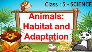 One of the major groups within the aerial animals are the birds, whose history goes back to 200 million years. Animals Habitat Adaptation Class 5 Science Cbse Ncert Adaptation In Animals Youtube
