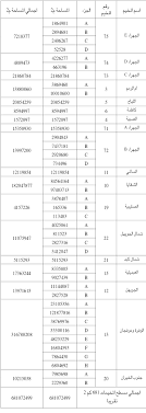 18 موقعاً للمخيمات الربيعية... والتراخيص تبدأ غداً - الراي