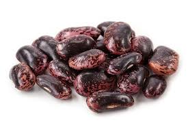 Image result for Phaseolus coccineus