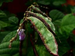 IMG_20171130_144011_328