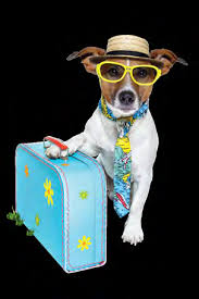 HORNSBY'S COMMUNITY GARDEN