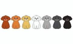 トイ・プードルイラスト｜無料イラスト・フリー素材なら ...