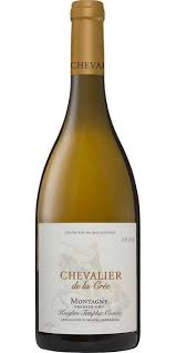 Image result for Crepidomanes chevalieri