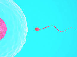 How Often Should A Man Ejaculate Daily Weekly Risks Benefits