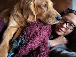 Luke, 2 Years, Golden Spaniel mix, Los Angeles, CA Some may say I am a  Golden Retriever Mix, but I am 100% Teddy Bear in Real Life! 🐻 What else  is there