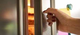 Ouvrir Frequemment La Porte Du Frigo Quel Est L Impact Sur La Conso D Energie Protegez Vous Ca