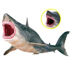 Please download one of our supported browsers. Oenux Sea Life Marine Tiere Wal Hai Megalodon Modell Aktion Figur Pvc Ocean Tier Gunstig Kaufen Preis Kostenloser Versand Echte Bewertungen Mit Fotos Joom