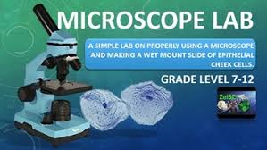 Microscope Lab Secondary Science Science Education Microscopic