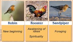 Birds And Their Meanings Pretty Enthralling Bird Symbolism And Their Meanings Animal Medicine Animal Spirit Guides Spirit Animal Meaning