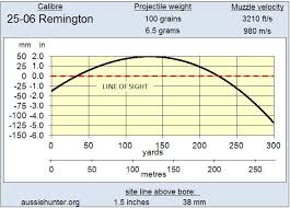 25 06 remington aussiehunter