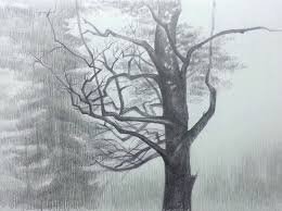 Baum Im Herbst By Tanja Bykova 2016 Drawing Pencil On Paper Singulart