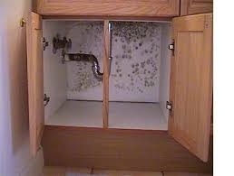 how to remove black mold under or in a sink
