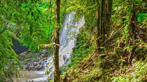 Branch, punjabi market, bareilly, 243001. Kanto Lampo Waterfall Cave Entrance Fee Idetrips