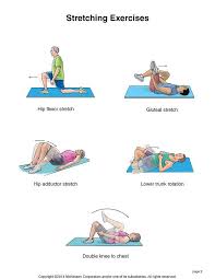 Hip Flexor Exercises Pdf Google Search Stretching Exercises Hip Flexor Exercises Hip Flexor