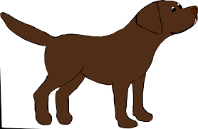 The chocolatelabs community on reddit. Download Marley The Chocolate Labrador Chocolate Lab Cartoon Dogs Full Size Png Image Pngkit