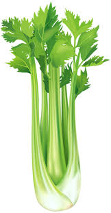 Celery Free Png Clip Art Image Vegetable Painting Vegetable Pictures Celery Chop up celery and combine it with cooked cranberries and almonds for a fun twist on relish. png clip art image vegetable painting