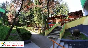 Hotelul aluniș este situat în sovata, la doar 2 minute de mers pe jos de lacul ursu. Hotel Alunis Sovata Cazare Sovata Romania