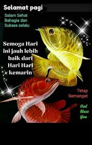 Selamat shop is one of online stores of selamat products which is operated by the manufacturer: 390 Selamat Pagi Ideas In 2021 Assalamualaikum Image Good Morning Morning Quotes