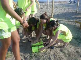 We did not find results for: Despedidas Con Gimcana Urbana Juegos De Playa Regalo Oferta Barcelona