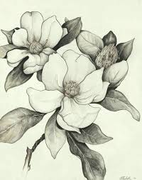 Pin By Velvet Papillon On Tattoo Style Pencil Drawings Of Flowers Flower Sketches Flower Drawing Buy original art worry free with our 7 day money back guarantee. pencil drawings