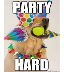 50 Happy Birthday Dog Memes Funny Memes Birthday Meme Dog Funny Happy Birthday Meme Happy Birthday Dog
