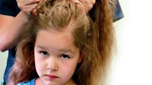 First tornado of the year last night. Tornado Shelter Youtube