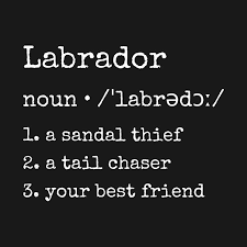 Check Out This Awesome Labrador Dictionary Definition Design With Images Doggie Style Tshirts Online Labrador