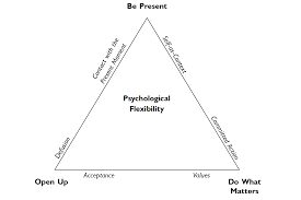 Act Triflex Train Your Mind Mindfulness Personality Psychology