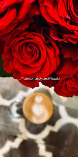 ورد جوري احمر happy eid imam hussain wallpapers islamic images