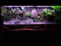 Paludarium Thunderstorm Paludarium Youtube Nature Aquarium Aquascape Vivarium