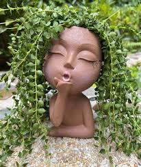 Buy unique plant pots Online in South Africa at Low Prices at desertcart