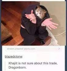 Khajiit Skyrim The Elder Scrolls Spicy Meme Games Funny Pictures Best Jokes Comics Images Video Humor Gif Animation I Lol D