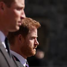 Vor Diana-Gedenkfeier: Royal-Experte zum andauernden Streit von William und  Harry