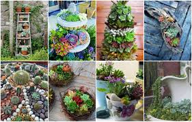 Sukkulenten stammen hauptsächlich aus den halbwüsten südafrikas oder mexikos. Einen Zauberhaften Mini Sukkulenten Garten Gestalten 40 Ideen Nettetipps De