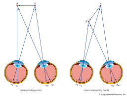 Image result for artistic divergence eyeballs