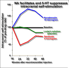 Role Of Serotonin And Gaba In Anti Anxiety Effects Of Benzodiazepines