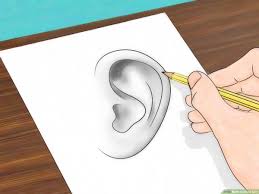 Check spelling or type a new query. How To Draw Ears 6 Steps With Pictures Wikihow