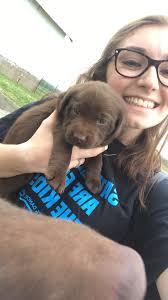 Riley Graham (rileyvgraham@)