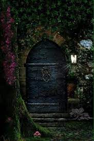 Witchdoor Unique Doors Cool Doors Beautiful Doors