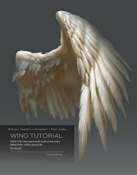 A basic fold that can be adapted to fit newborns as well. Anatomy Of An Angel Wing