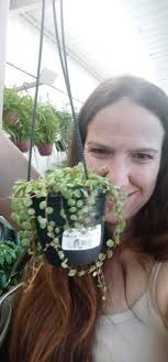 Cute plants for kitchen window decor ideas