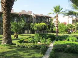 Official facebook account of paloma oceana. Bungalow Rooms Bild Von Paloma Oceana Resort Side Tripadvisor