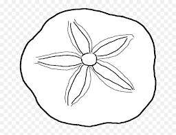 This post may contain affiliate links. Download Clip Stock Dollar Coloring Pages Page Sand Dollar Seashell Coloring Png Free Transparent Png Images Pngaaa Com